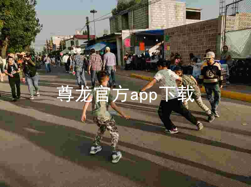 尊龙官方app下载