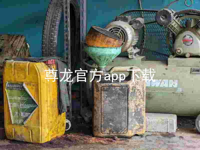 尊龙官方app下载