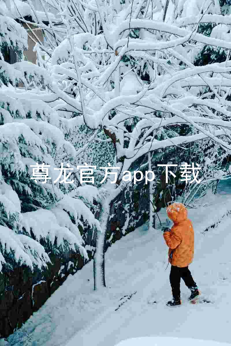 尊龙官方app下载