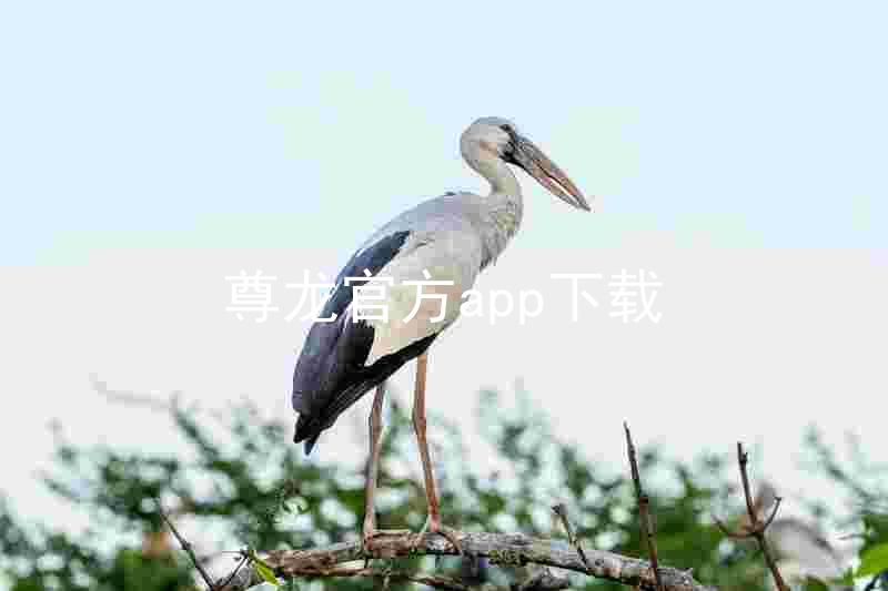 尊龙官方app下载