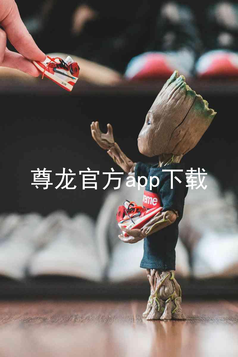 尊龙官方app下载