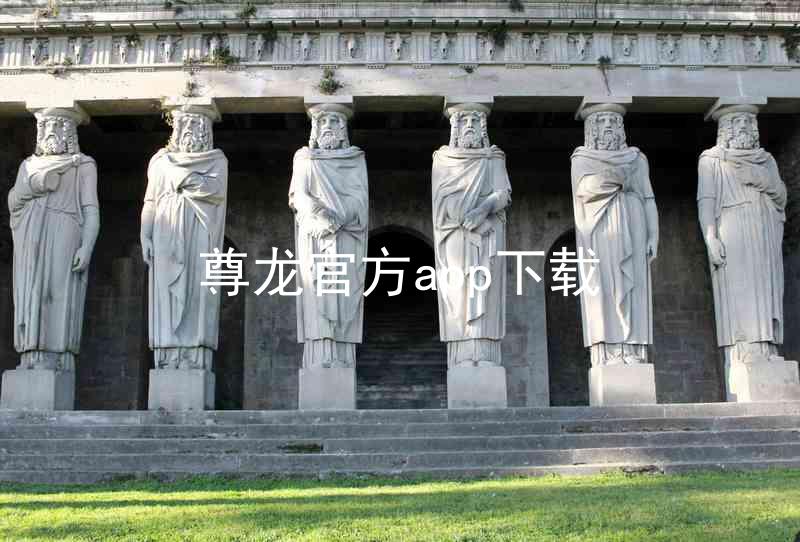 尊龙官方app下载