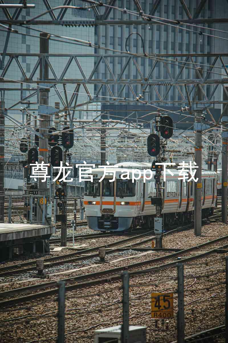 尊龙官方app下载